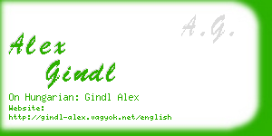 alex gindl business card